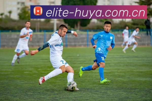 AI数据洞察中心